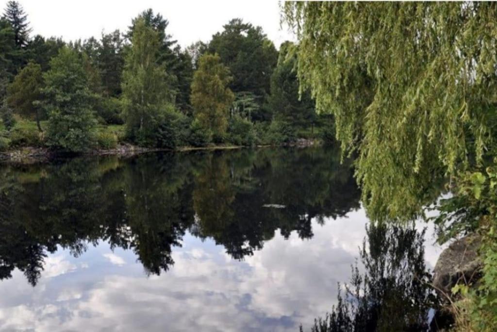 Sjarmerende Leilighet I Hjerte Av Tonsberg By Bagian luar foto