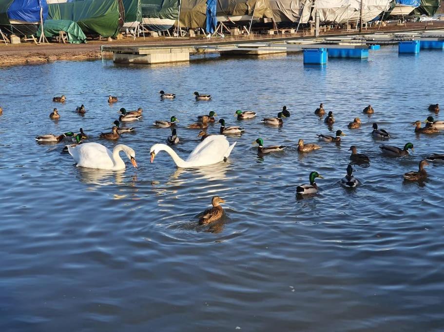 Sjarmerende Leilighet I Hjerte Av Tonsberg By Bagian luar foto