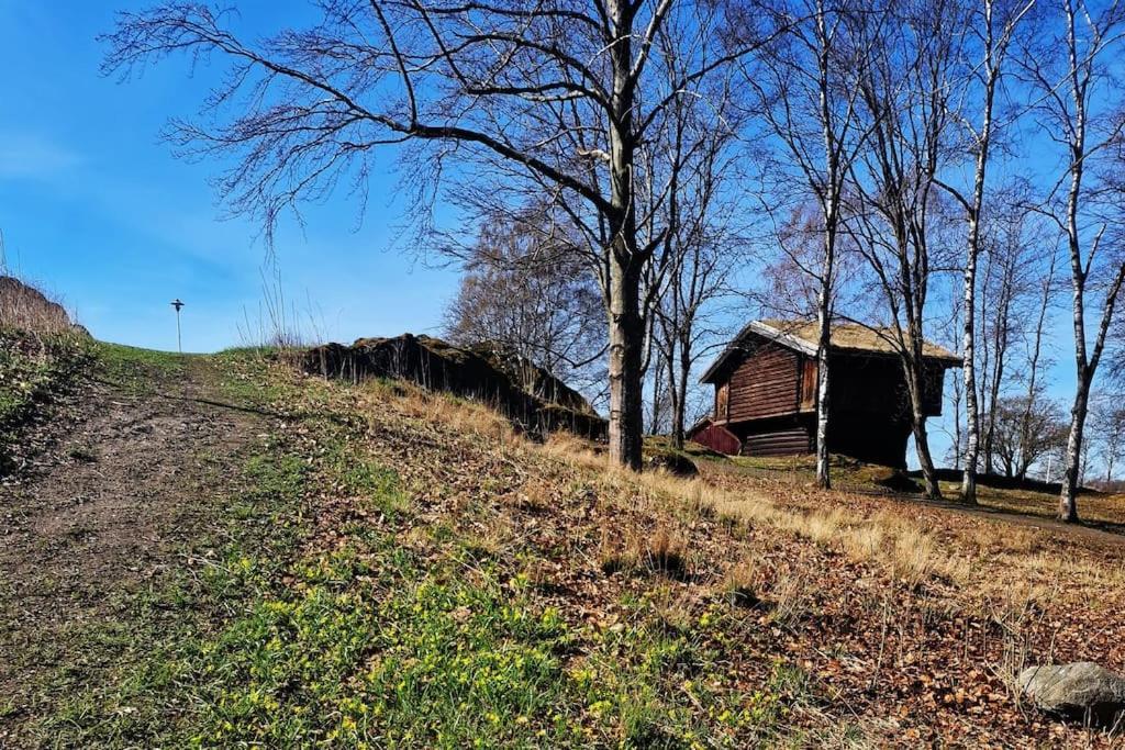 Sjarmerende Leilighet I Hjerte Av Tonsberg By Bagian luar foto